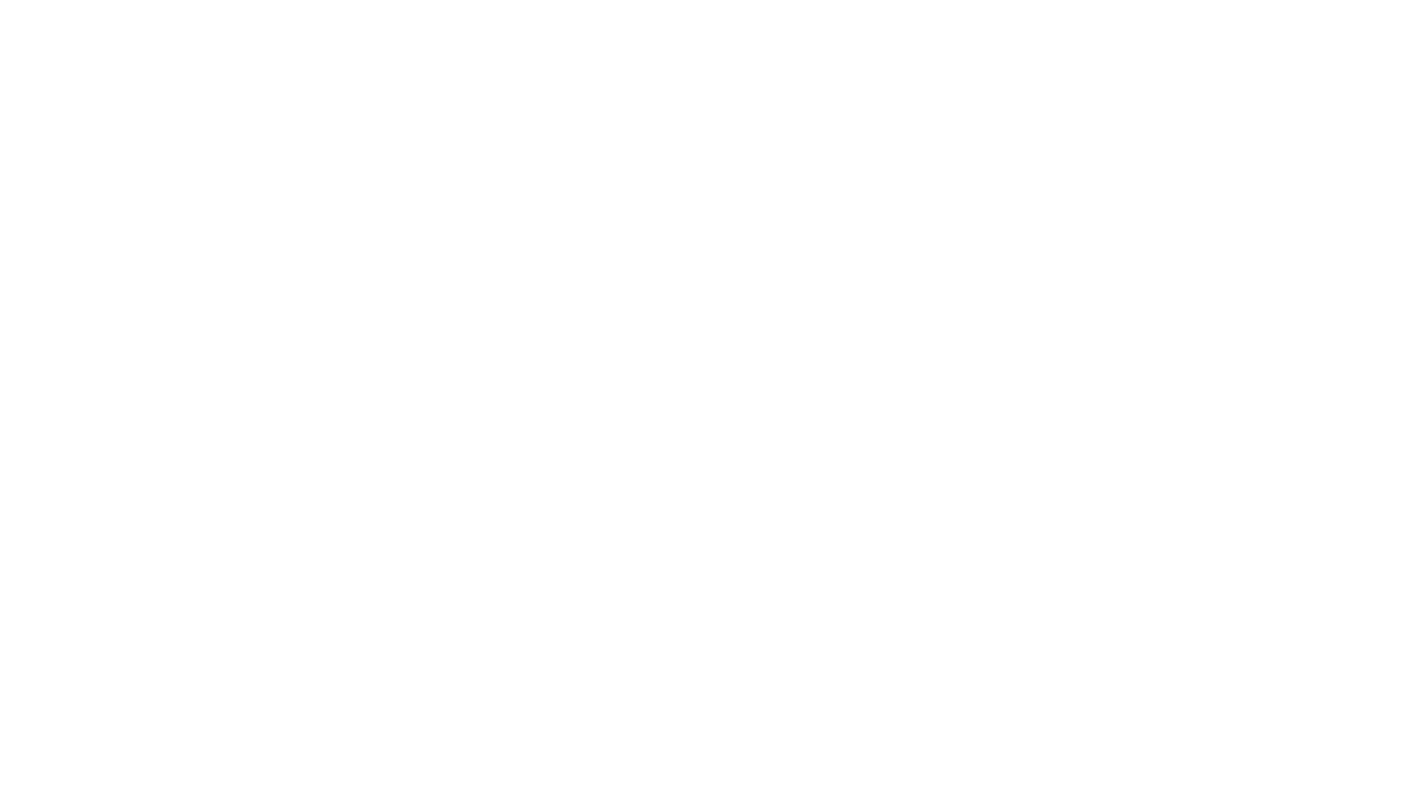 Chang Shop Logo